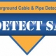 Detect S.A. Pty Ltd – Website Profile