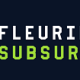 Fleurieu Subsurface Pty Ltd – Website Profile
