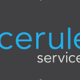 Cerulean Business Group Pty Ltd (trading as Cerulean Services) – Website Profile